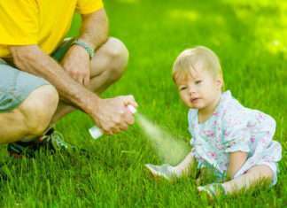 Mosquito Control for Your Kid’s Safety Mosquito Control for Kid’s Safety