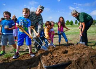Importance of Trees: Time to Rethink About Nature importance of trees