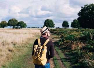 How to Stay Healthy on an Adventure Trip utilizing these 8 Tiny Travel Products? Travel With CBD Gummies