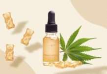 Top Rated CBD Oil – The Best CBD Oils And Their Benefits Top Rated CBD Oil