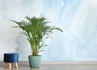 5 Ways You Can Keep Your Home’s Air Clean keep your homes air clean