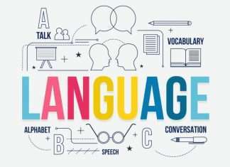 Language Proficiency Levels: Brief Overview of A0-A5 language proficiency levels