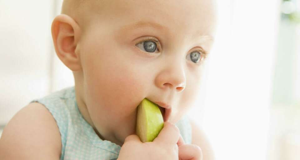 List of fruits and vegetables that should be in your baby's plate