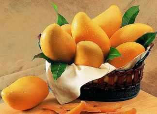 Why are mangoes good for you? Are mangoes good for you
