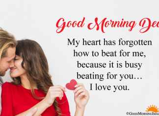 Good Morning Messages for Lover: Importance and More lover