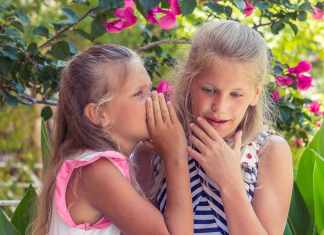 3 Red Flags That You Might Have Encountered a Hearing Aid Scam Hearing Aid Scam