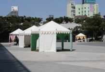 favorite canopy tent