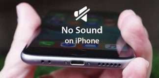 IPhone No Sound on Calls
