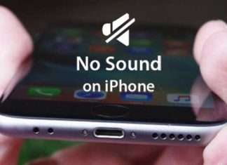 IPhone No Sound on Calls: What Must You Do? IPhone No Sound on Calls