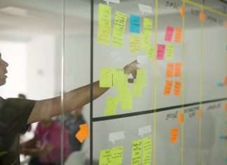 Top benefits of taxonomy solution for your business