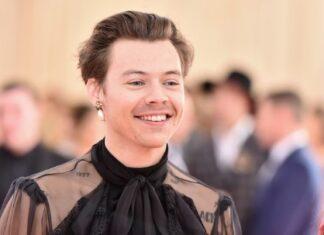 Harry Styles Net Worth: Personal Life, Professional Life and More Harry Styles Net Worth