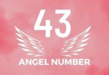 43 Angel Number