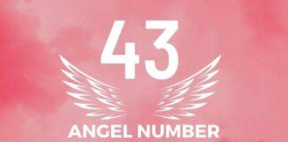 43 Angel Number