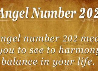 Angel Number 202 Meaning and the Power Angel Number 202