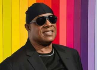 Stevie Wonder Net Worth, Early Life, and Career Stevie Wonder Net Worth