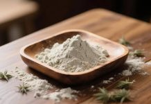 Is Hemp Protein Better Than Whey? 5 Reasons to Embrace the Green Revolution