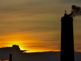 The Surprising Link Between ISO 14001 and National Emissions